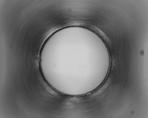 X0000101411178200808041057