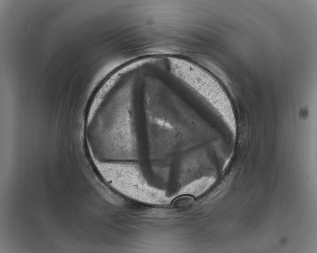 X0000101411179200808041057