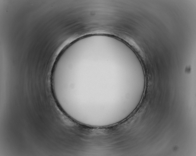 X0000101411181200808041057