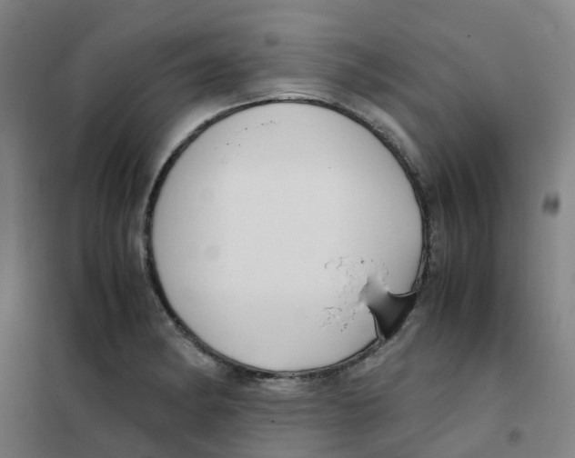 X0000101411182200808041057