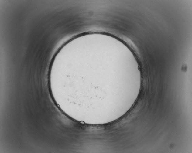 X0000101411183200808041057