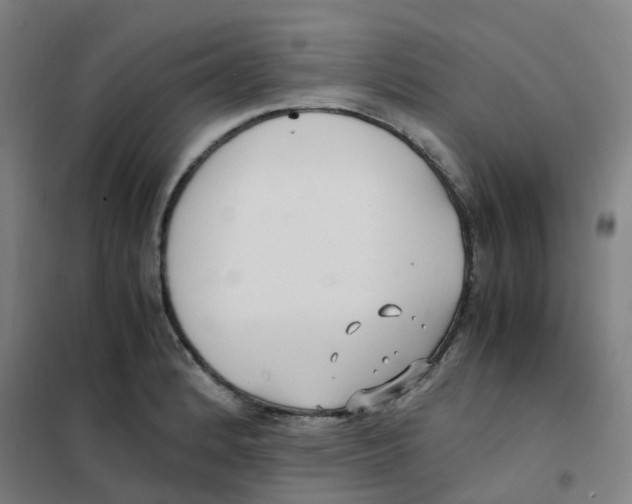 X0000101411184200808041057