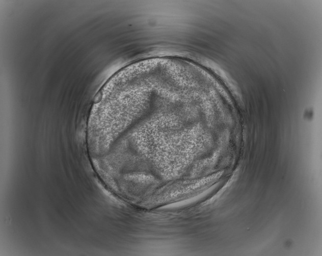 X0000101411185200808041057