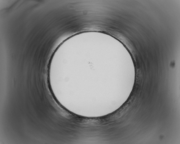 X0000101411187200808041057