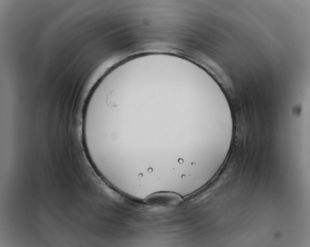 X0000101411188200808041057