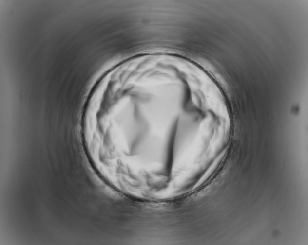 X0000101411189200808041057
