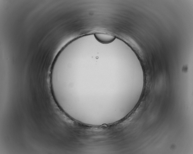 X0000101411190200808041057