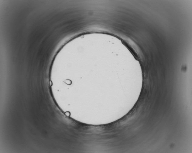 X0000101411191200808041057