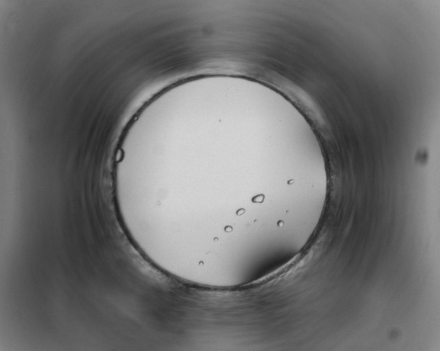 X0000101411192200808041057