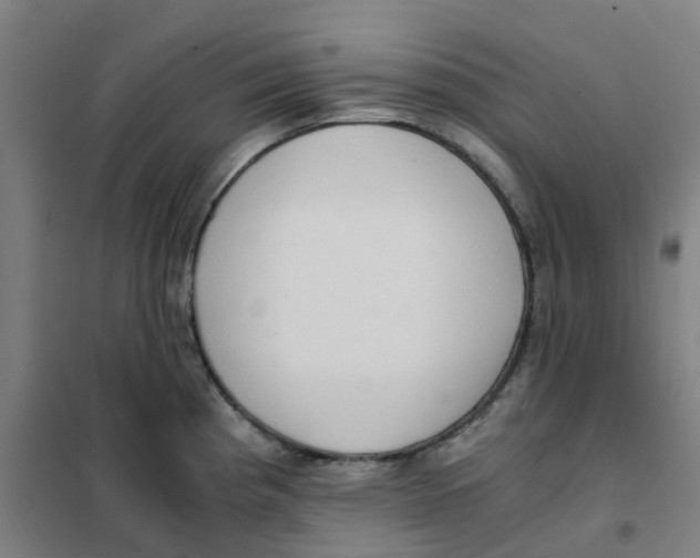 X0000101411193200808041057