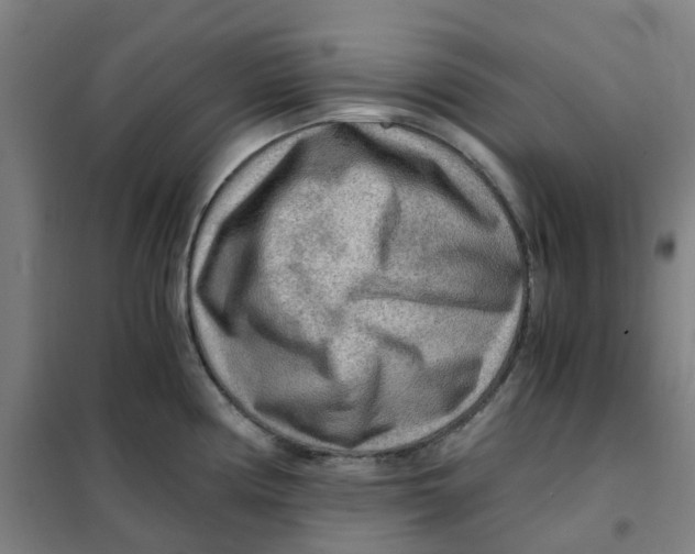 X0000101411194200808041057