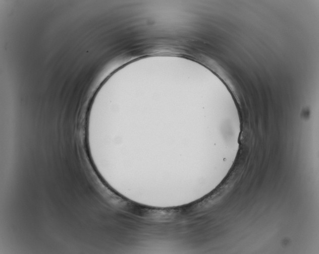 X0000101411195200808041057