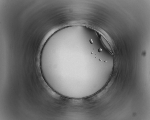 X0000101411196200808041057