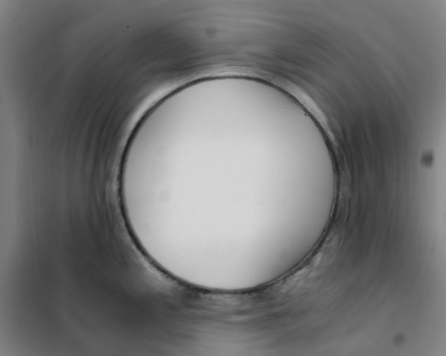 X0000101411197200808041057