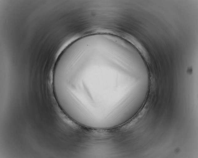X0000101411198200808041057