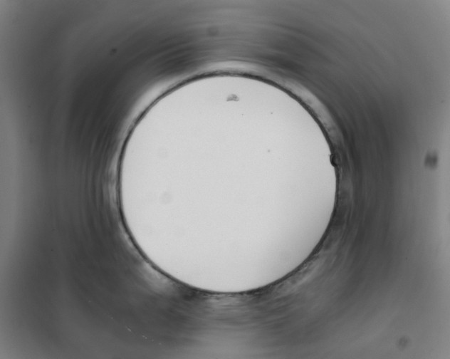 X0000101411199200808041057