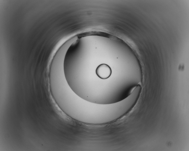 X0000101411200200808041057