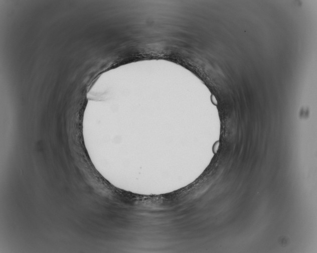 X0000101411201200808041056