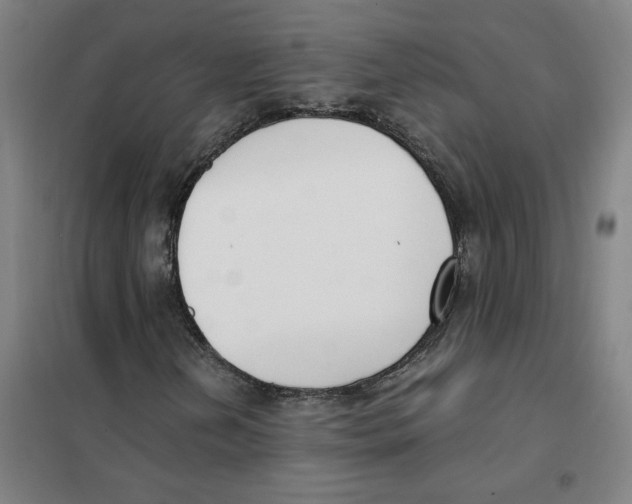 X0000101411202200808041056