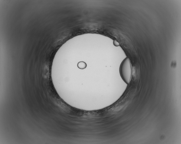 X0000101411203200808041056