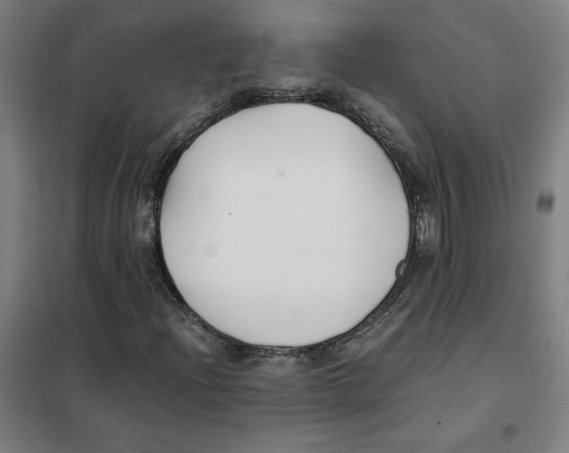 X0000101411204200808041056
