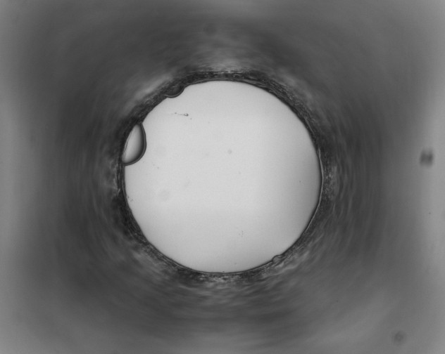 X0000101411205200808041056