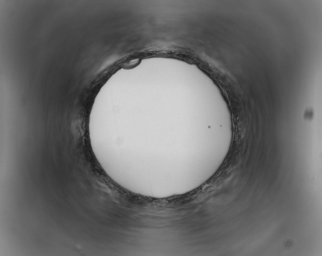 X0000101411206200808041056