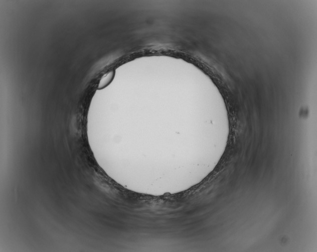 X0000101411207200808041056