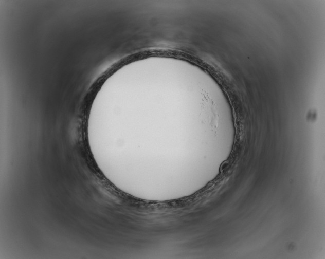 X0000101411208200808041056