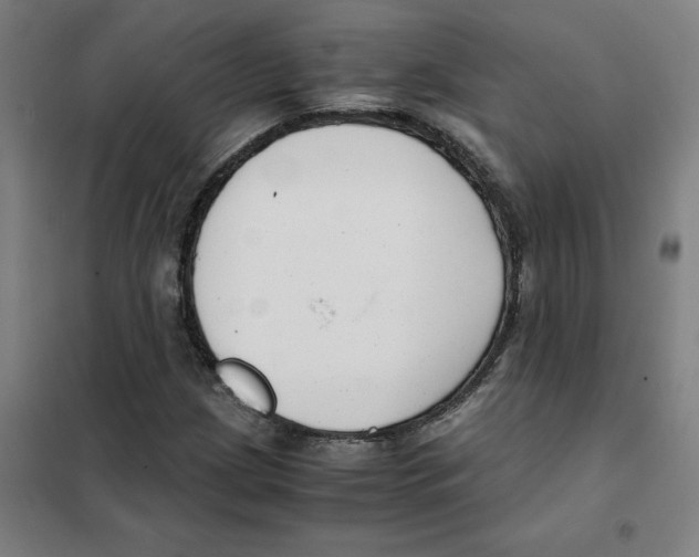 X0000101411209200808041056