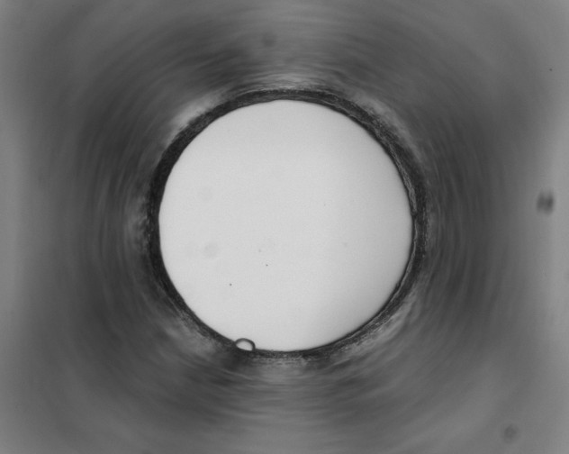 X0000101411210200808041056