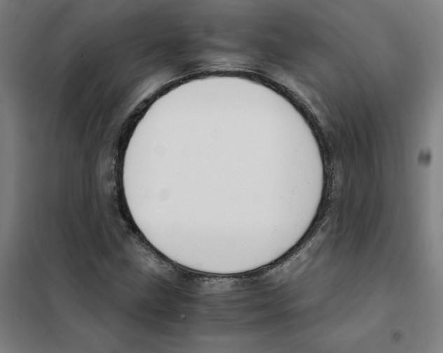 X0000101411211200808041056