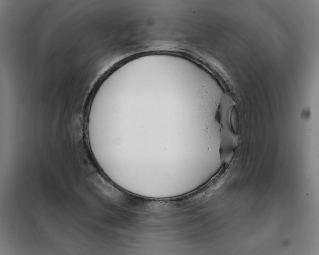 X0000101411212200808041056