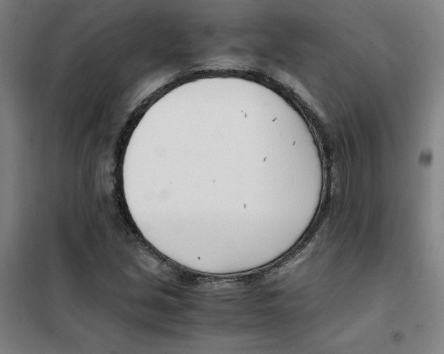 X0000101411213200808041056
