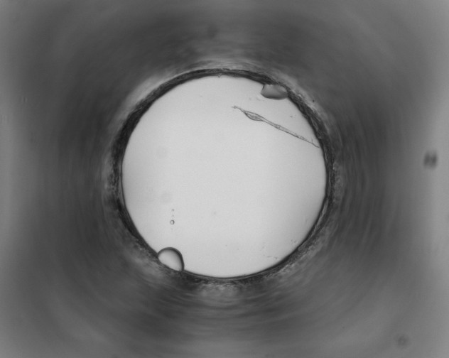 X0000101411215200808041056