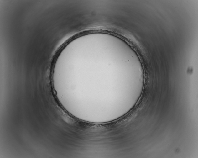 X0000101411216200808041056