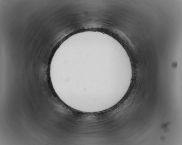 X0000101411217200808041056