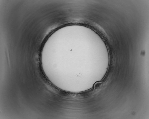 X0000101411218200808041056