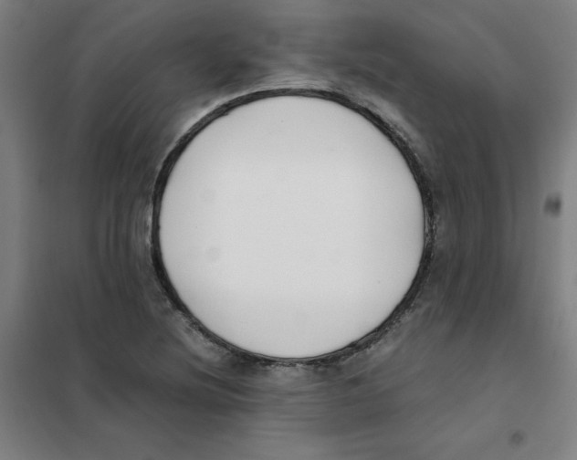 X0000101411220200808041056