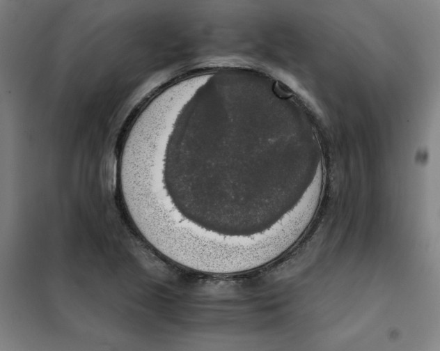 X0000101411221200808041056