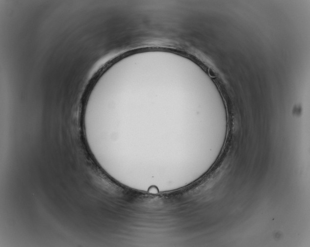 X0000101411222200808041056
