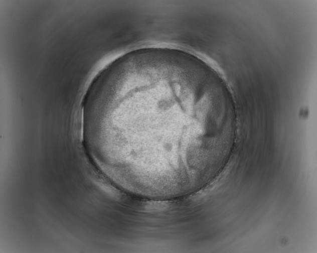 X0000101411223200808041056