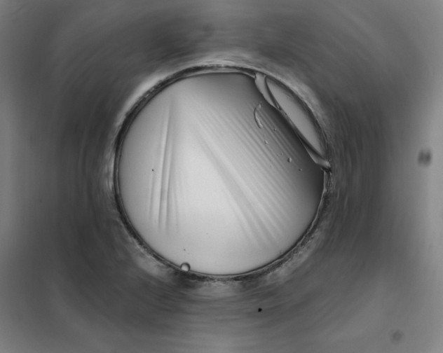 X0000101411224200808041056