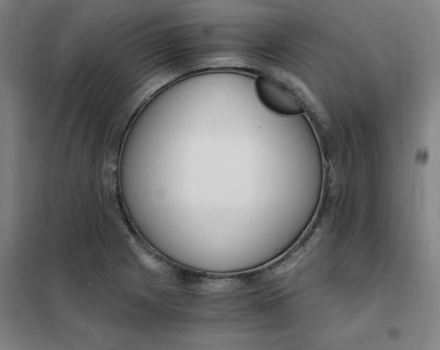 X0000101411225200808041056