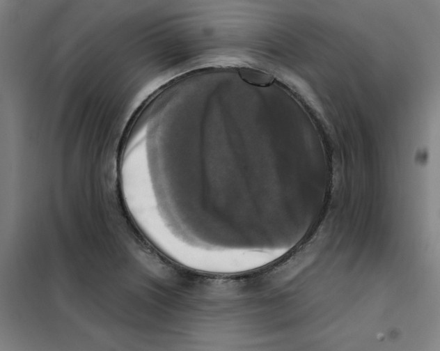 X0000101411226200808041056