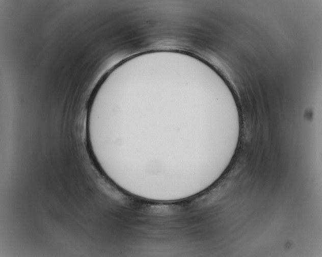 X0000101411227200808041056
