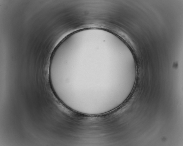 X0000101411228200808041056