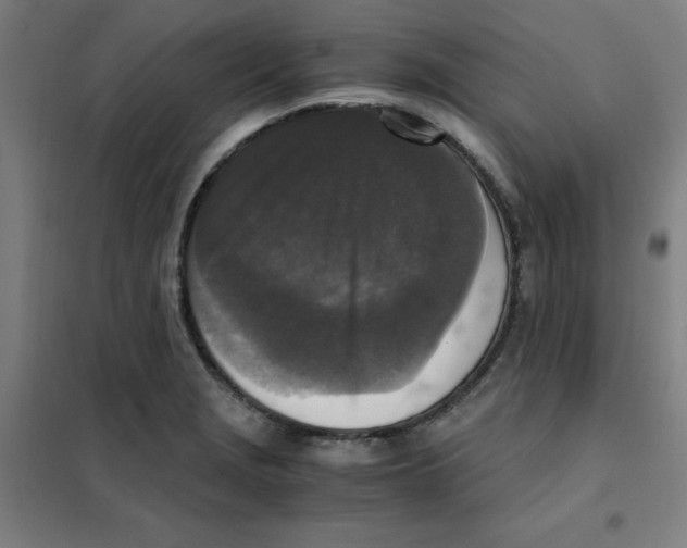 X0000101411229200808041056