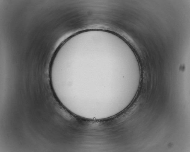X0000101411230200808041056