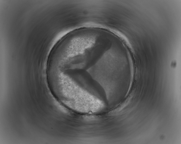 X0000101411231200808041056